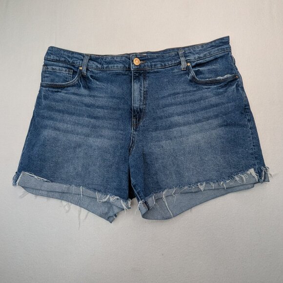 RARE PLUS KUT from Kloth Jane High Rise Short, Plus sZ 18 W Blue - Picture 6 of 15